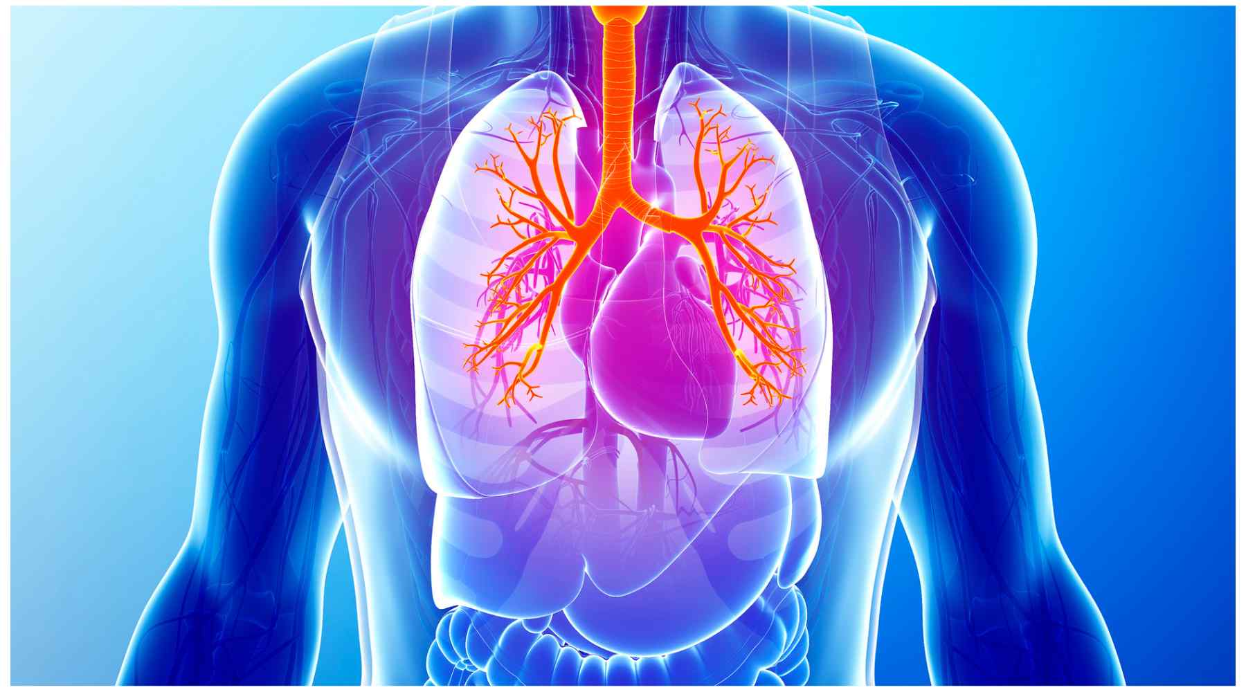 Is a Sauna Good For Your Lungs? Clearlight® Saunas